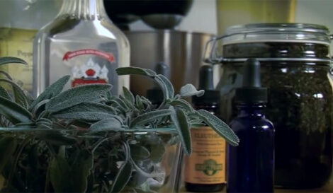 DIY Herbal Tincture with Peppermint Leaf (Video) Image